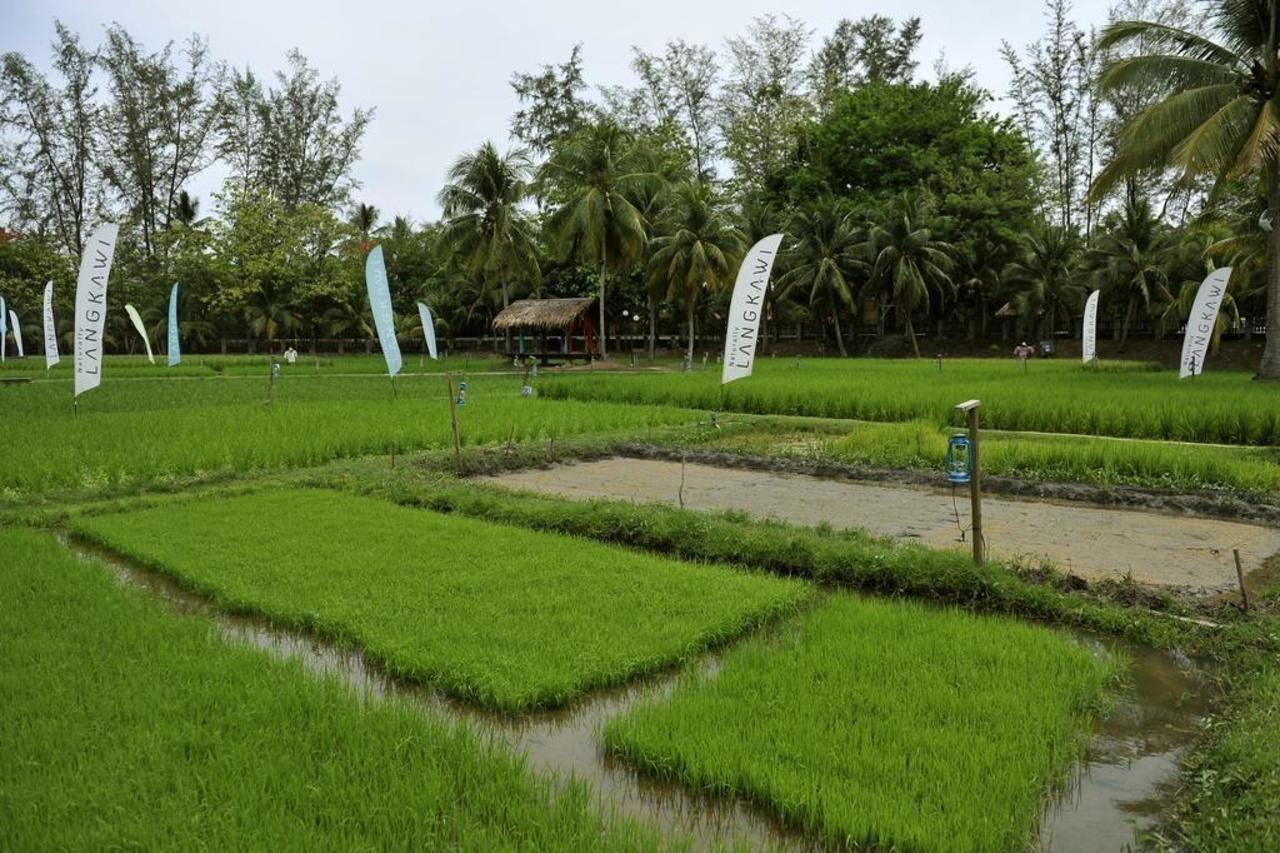 The Gemalai Village Pantai Cenang  Exteriör bild