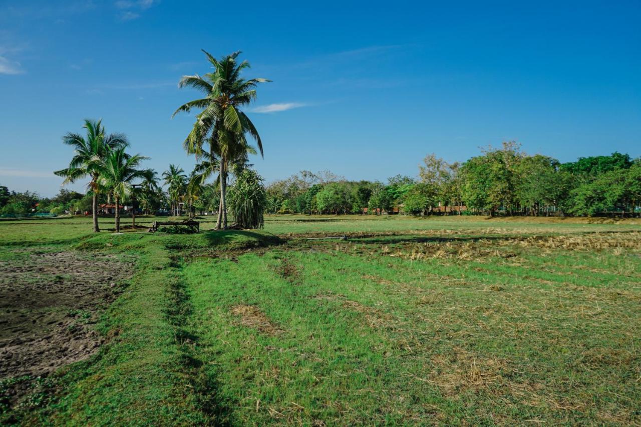 The Gemalai Village Pantai Cenang  Exteriör bild