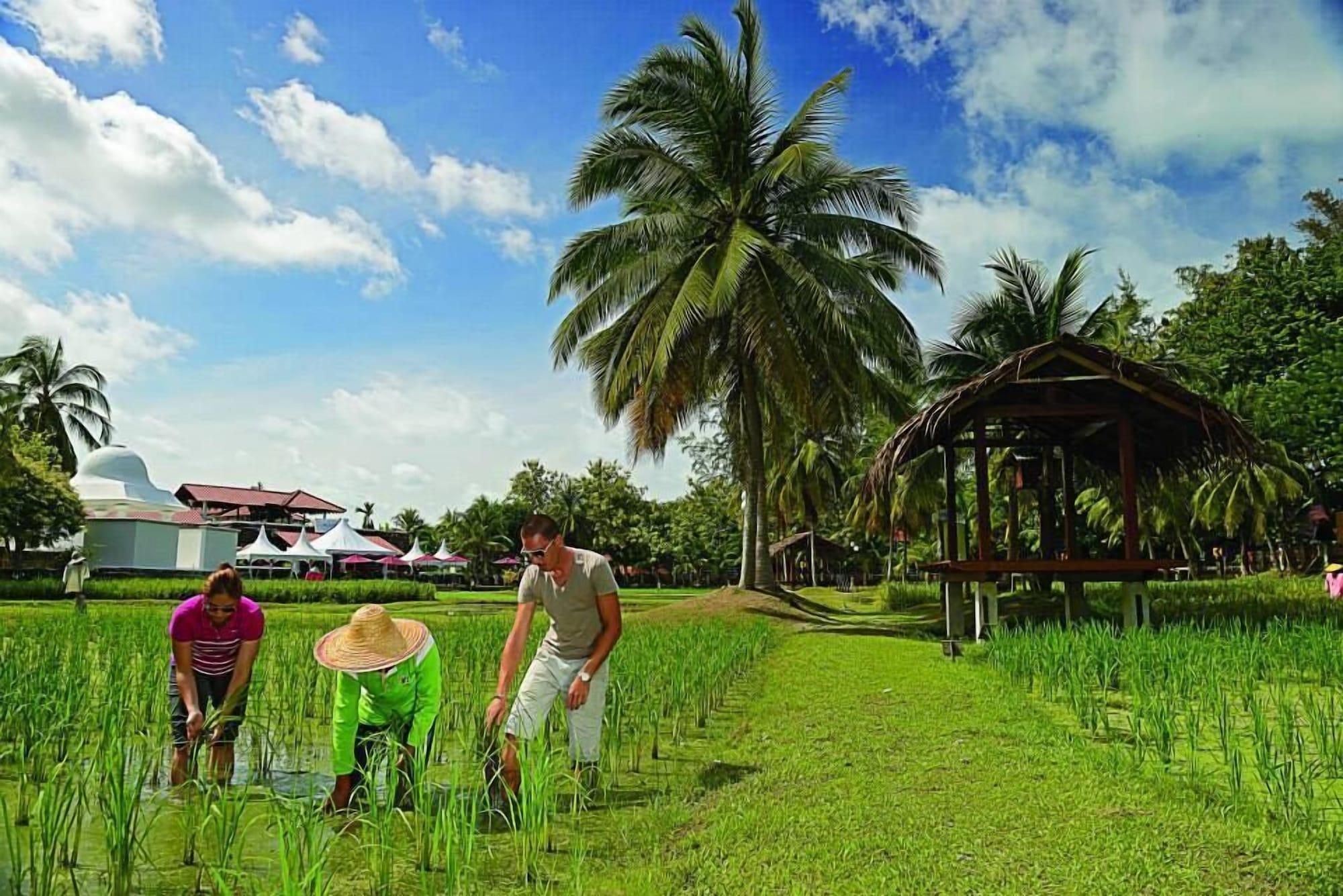 The Gemalai Village Pantai Cenang  Exteriör bild