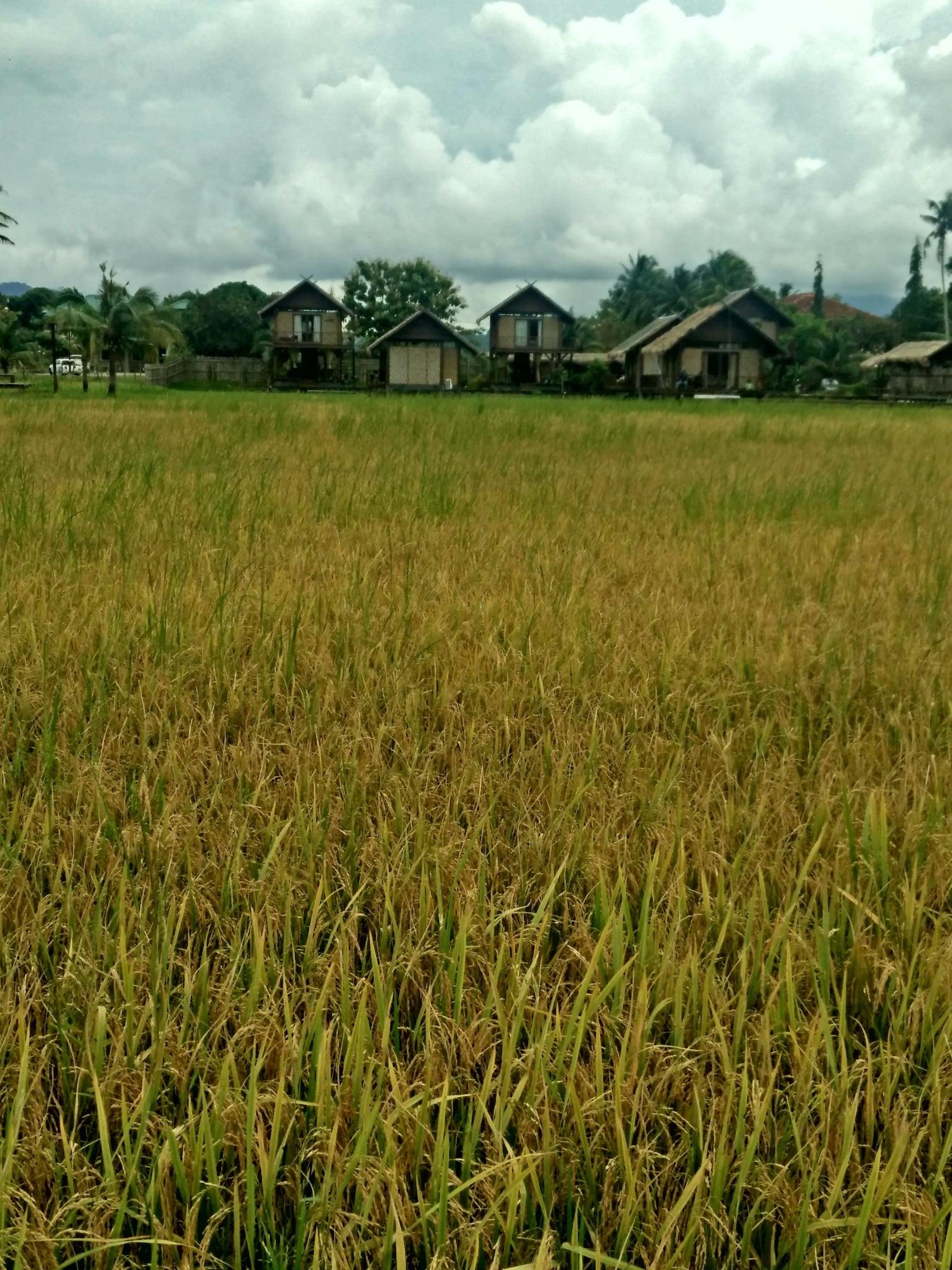 The Gemalai Village Pantai Cenang  Exteriör bild