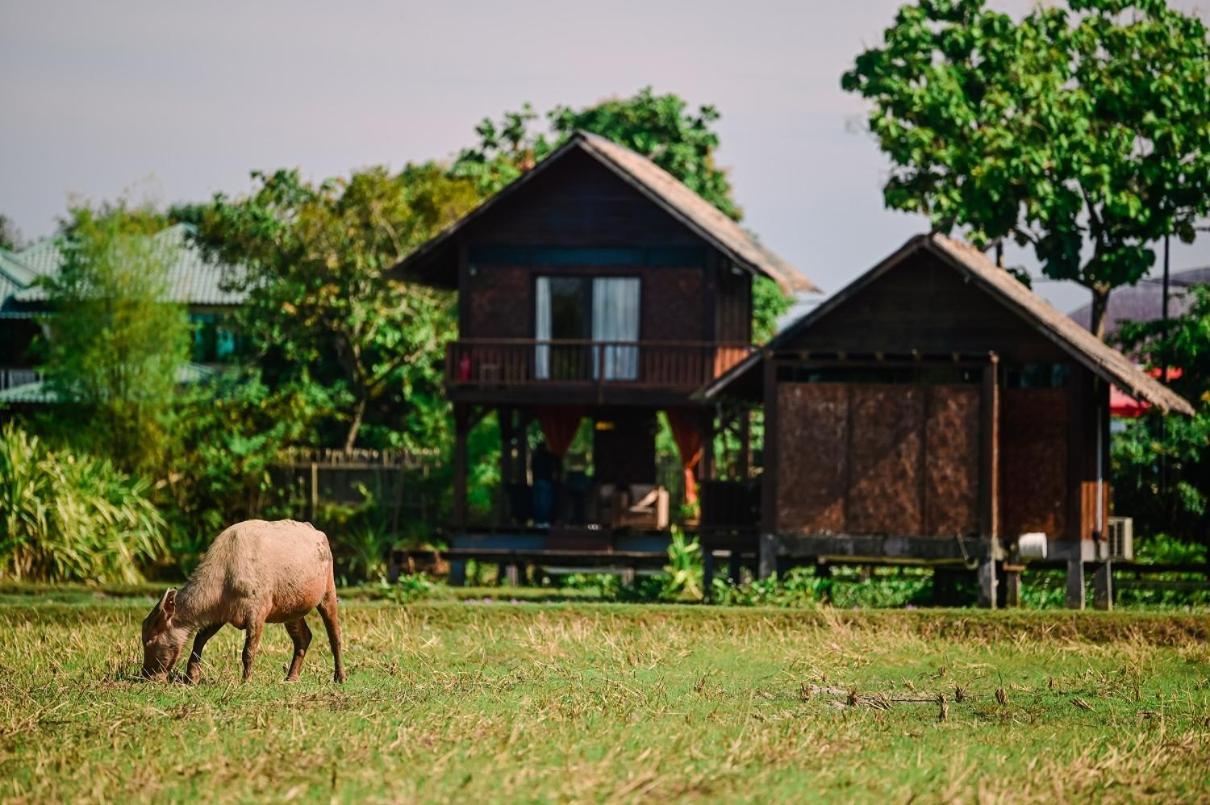 The Gemalai Village Pantai Cenang  Exteriör bild