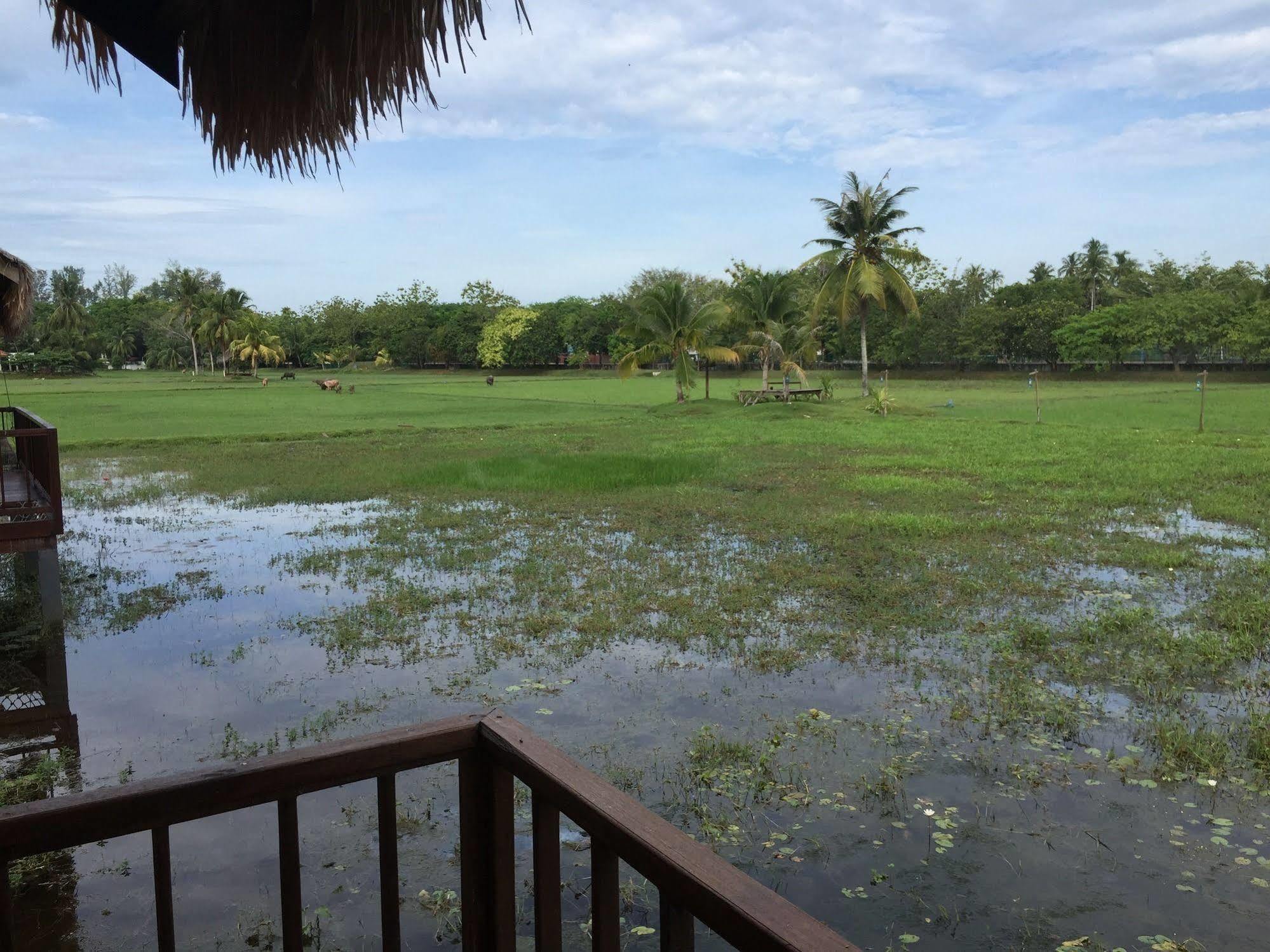 The Gemalai Village Pantai Cenang  Exteriör bild